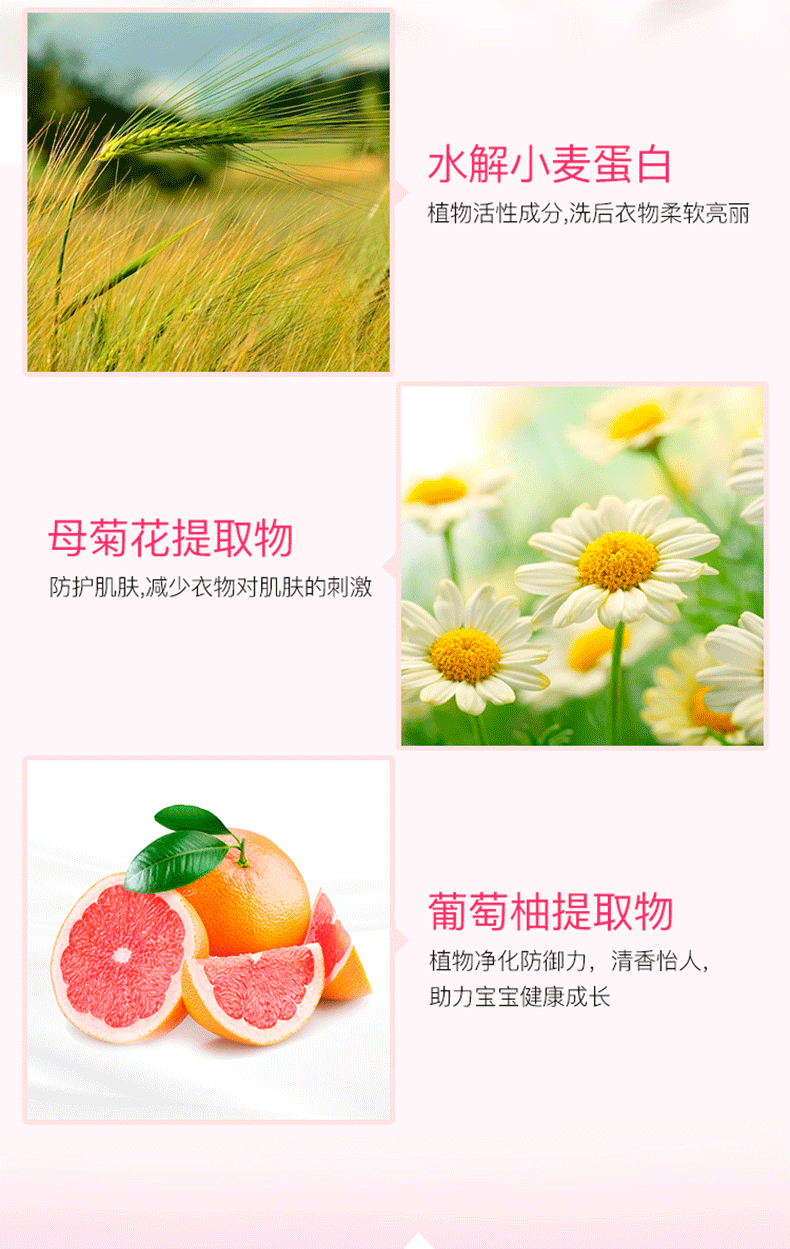 阿道芙洗衣液_11.jpg